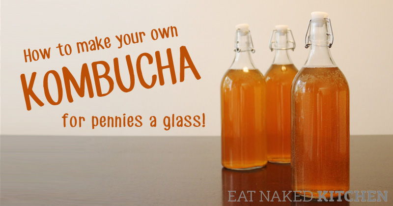 How to make your own Kombucha for pennies a glass