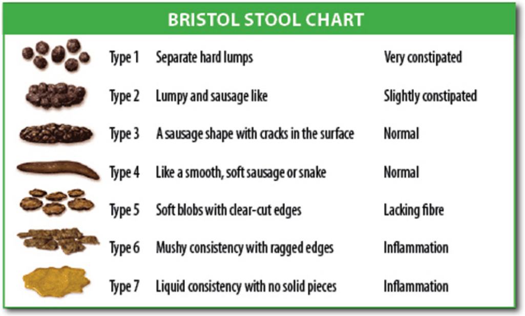 Bristol Stool Chart | eatnakedkitchen.com